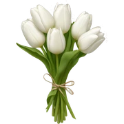 white tulip bouquet  sticker