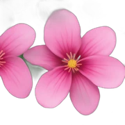 pink flower sticker