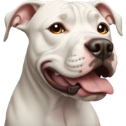 Pitbull sticker