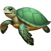 Sea turtle  sticker