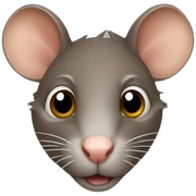 brown rat sticker