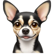 Chihuahua  sticker