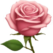 rose sticker