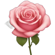 Rose sticker