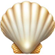 shell with pearl sticker