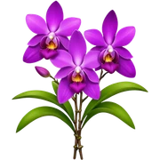 big bouquet Dendrobium Orchid flower, stem, leaf sticker