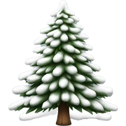  actual white fir christmas tree isolated.  sticker
