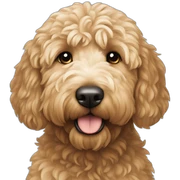 goldendoodle sticker