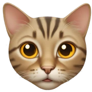 tabby cat orange eyes  sticker