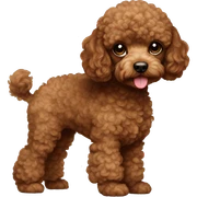 Brown toy poodle pup sticker