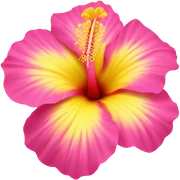 yellow and pink hibiscus flower sticker