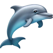 Dolphin  sticker