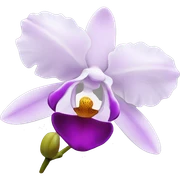 Orchid sticker