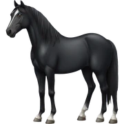 black horse no markings  sticker