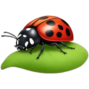 Ladybug  sticker