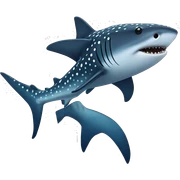 Whale Shark sticker