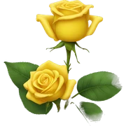 yellow rose sticker