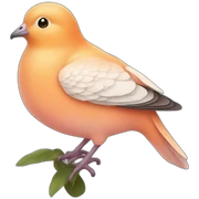 Peach dove sticker