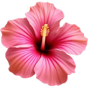 Hibiscus sticker