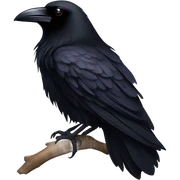 Raven sticker