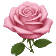 Rose pink sticker