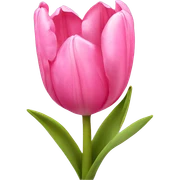 Pink tulips with a bow sticker