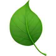 Leaf sticker