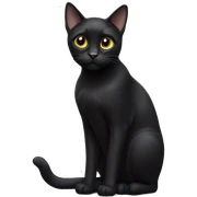 Black cat  sticker