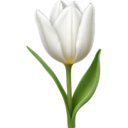 White tulip’s  sticker