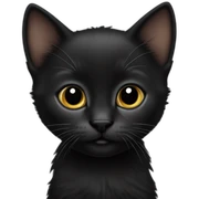 Small black kitten sticker