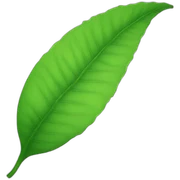 leaf sticker