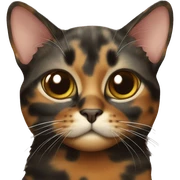 Tortoiseshell cat sticker