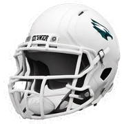 Football sticker