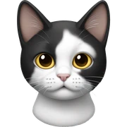 Gato blanco y negro  sticker