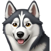 syberian husky si sticker