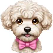 maltipoo dog with pink  sticker