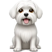 Maltese dog  sticker
