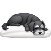 Schnauzer sleeping sticker