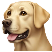 Labrador  sticker