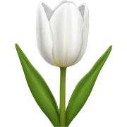 White tulip sticker