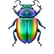 shiny rainbow beetle  sticker