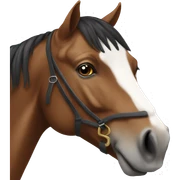 caballos sticker