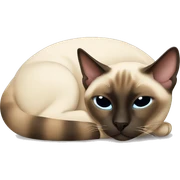 siamese cat laying down sleeping sticker