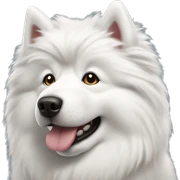 Samoyede sticker