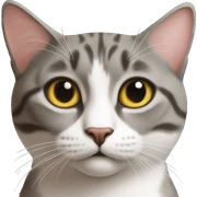 Gato sticker