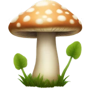 Mushroom  sticker