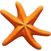 starfish sticker