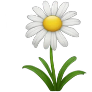 Daisy sticker