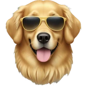 Golden retriever with sunglasses  sticker