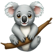 koala sticker